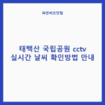 태백산 국립공원 cctv 실시간 날씨 확인방법 안내 — 주말나들이 카테고리 글의 제목 이미지