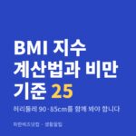 BMI 지수 계산법과 비만 기준 25 — 생활꿀팁 카테고리 글의 제목 이미지
