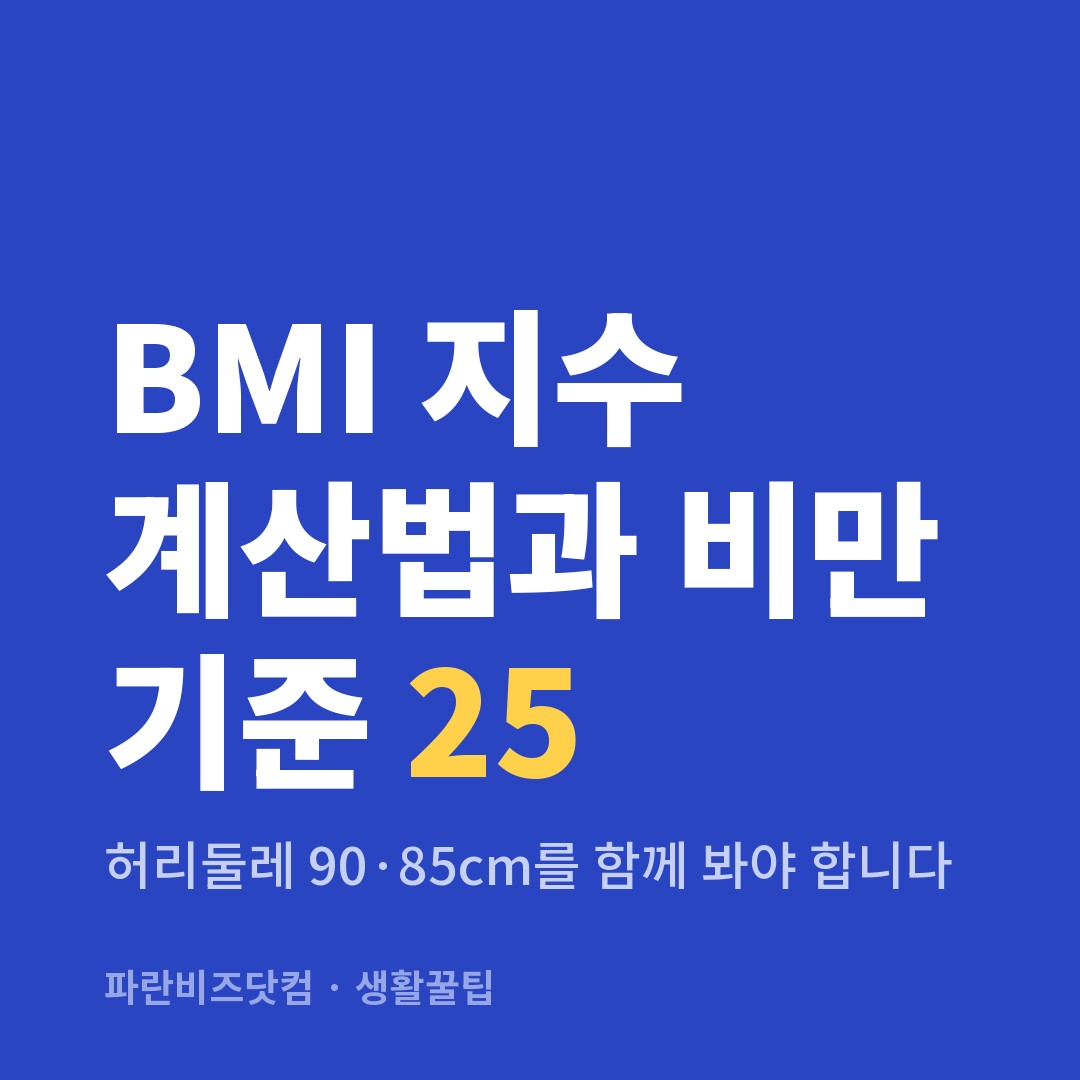 BMI 지수 계산법과 비만 기준 25｜허리둘레 90·85cm를 함께 봐야 합니다