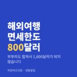 해외여행 면세한도 800달러 — 생활꿀팁 카테고리 글의 제목 이미지