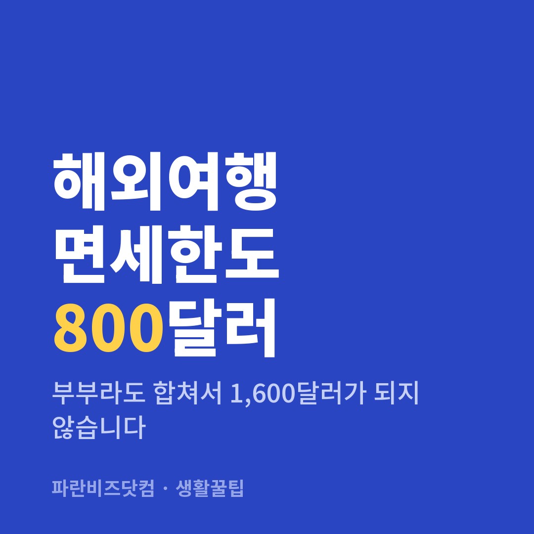 해외여행 면세한도 800달러 — 생활꿀팁 카테고리 글의 제목 이미지