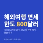 해외여행 면세 한도 800달러|자진신고하면 30% 깎고 안 하면 40% 붙습니다 해외여행 면세 한도 800달러 — 여행·교통 카테고리 글의 제목 이미지