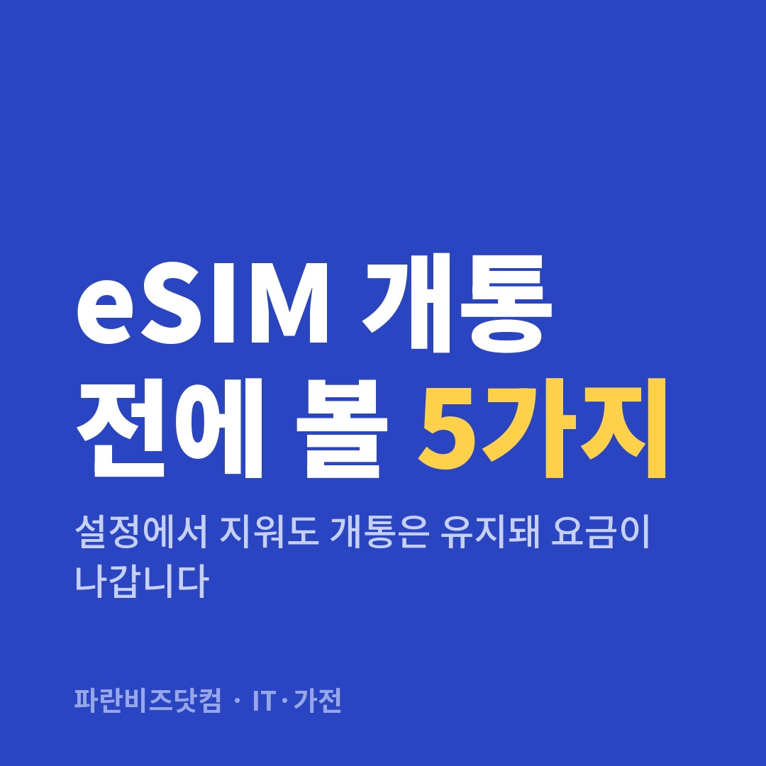 eSIM 개통 전에 볼 5가지 — IT·가전 카테고리 글의 제목 이미지