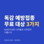 독감 예방접종 무료 대상 3가지|65세 이상은 나이별로 시작일이 다릅니다 독감 예방접종 무료 대상 3가지 — 정부혜택 카테고리 글의 제목 이미지