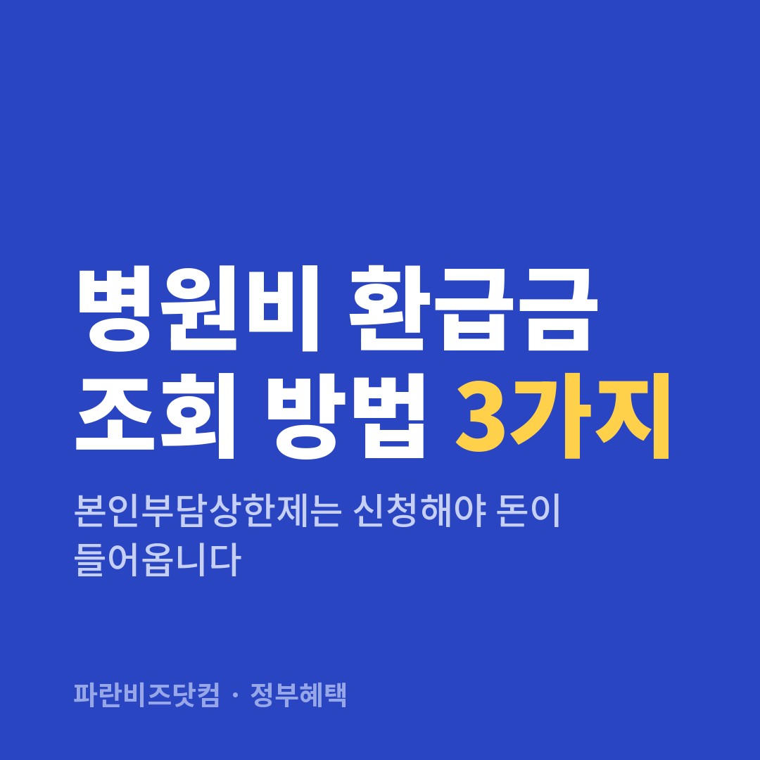 병원비 환급금 조회 방법 3가지 — 정부혜택 카테고리 글의 제목 이미지