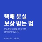 택배 분실 보상 받는 법 — 생활꿀팁 카테고리 글의 제목 이미지