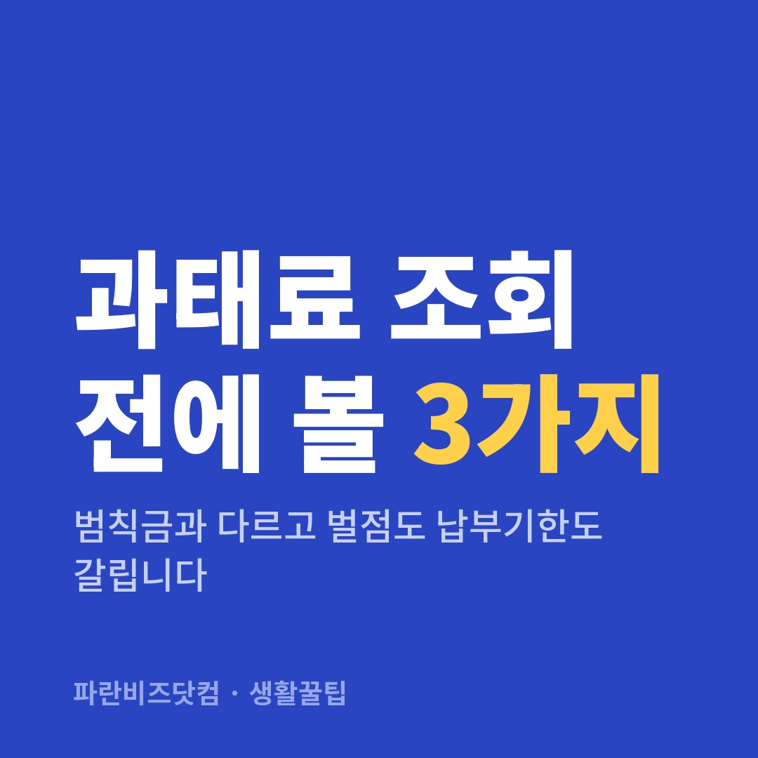 과태료 조회 전에 볼 3가지|범칙금과 다르고 벌점도 납부기한도 갈립니다