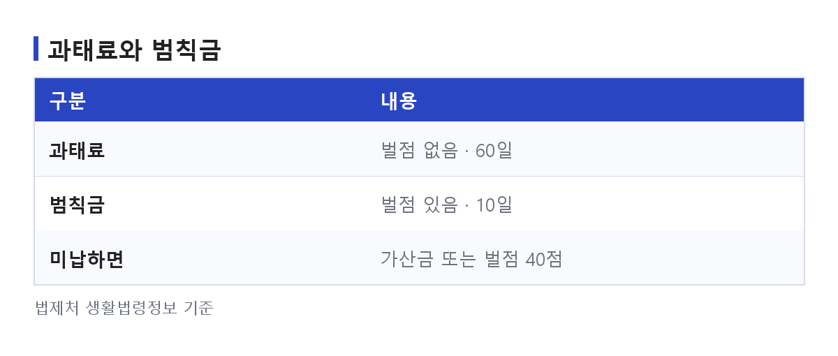 과태료 조회 시 과태료와 범칙금이 벌점·납부기한에서 어떻게 갈리는지 정리한 비교 도식