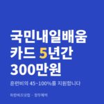 국민내일배움카드 5년간 300만원 — 정부혜택 카테고리 글의 제목 이미지