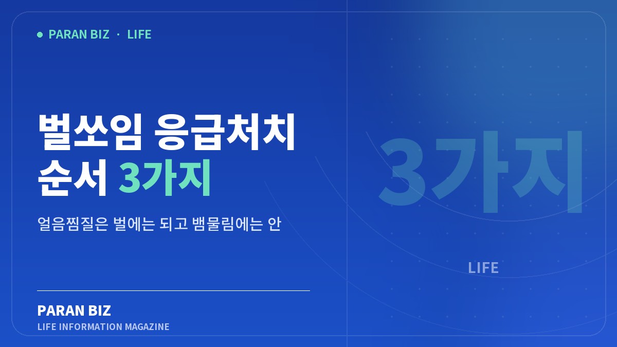 벌쏘임 응급처치 순서 3가지 — 생활꿀팁 카테고리의 파란비즈 제목 이미지