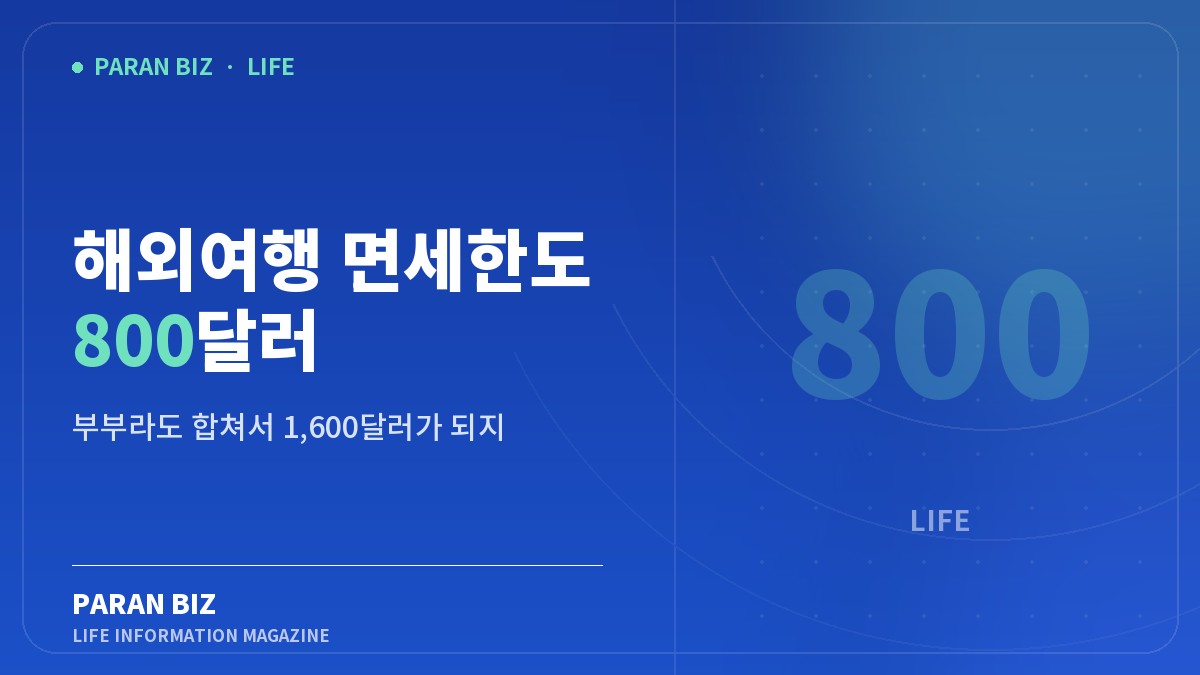 해외여행 면세한도 800달러 — 생활꿀팁 카테고리의 파란비즈 제목 이미지