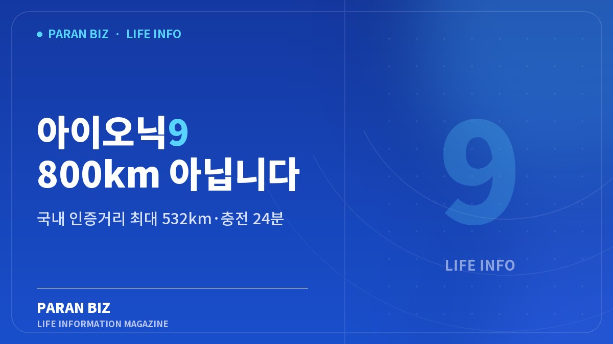 아이오닉9 800km 아닙니다 — 요즘이슈 카테고리의 파란비즈 제목 이미지